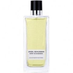 Sélection de Mémoires - Esprit de Gingembre pour Femme